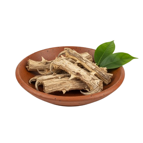 Uña de Gato: Antiinflamatorio Natural de la Amazonía